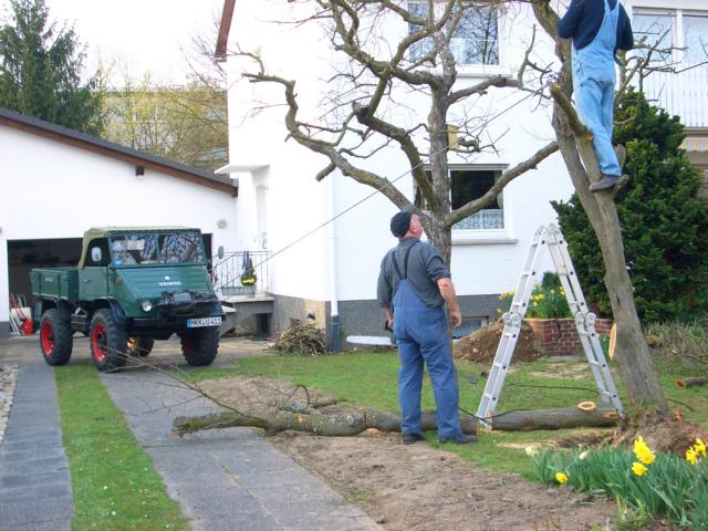 CIMG2154.JPG